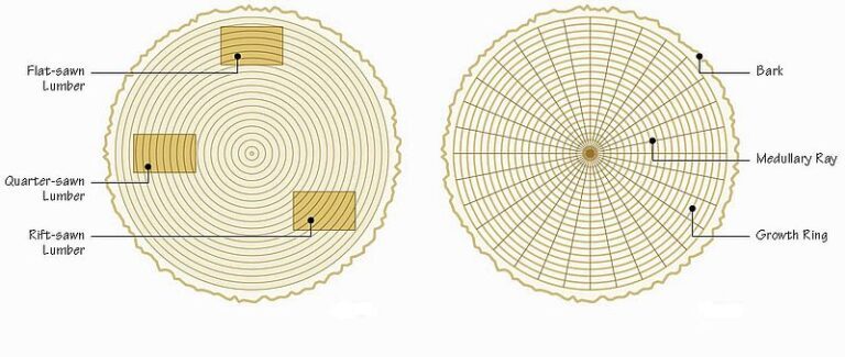 Wood cuts and where they come from
