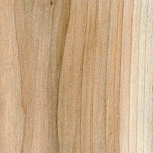 Striped maple  The Wood Database (Hardwood)