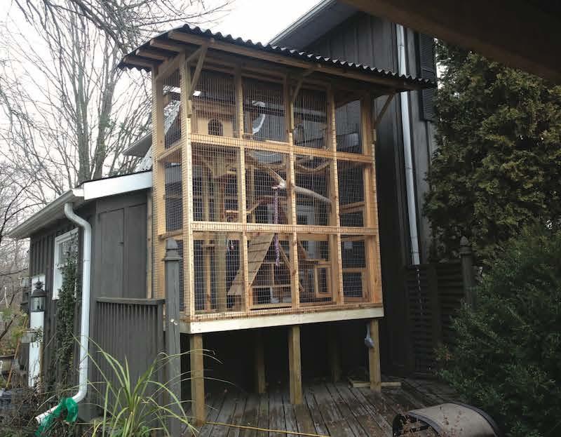 >Build a catio – an outdoor enclosure for cats