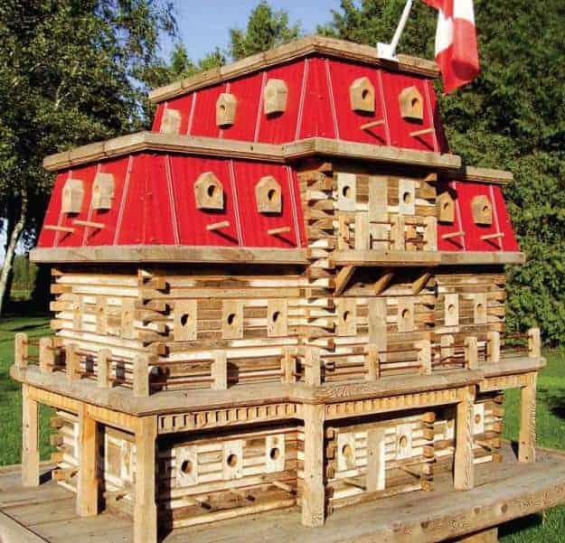 Extreme Bird Houses