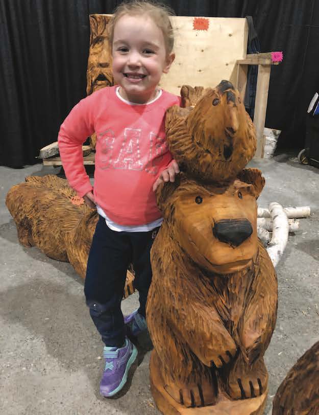 >The Toronto Woodworking Show