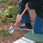Tools and Tips for Spring Yard Work