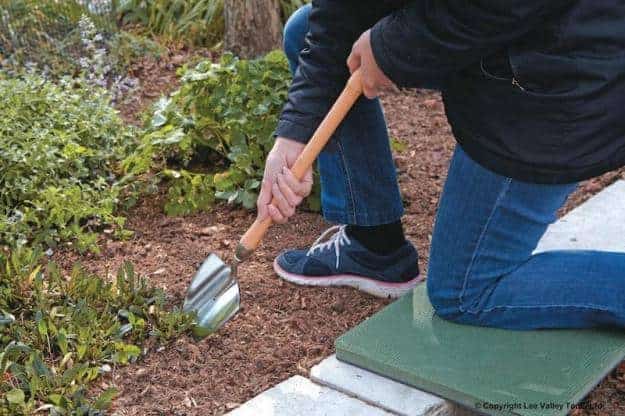 Top 10 tools and tips for spring yard work