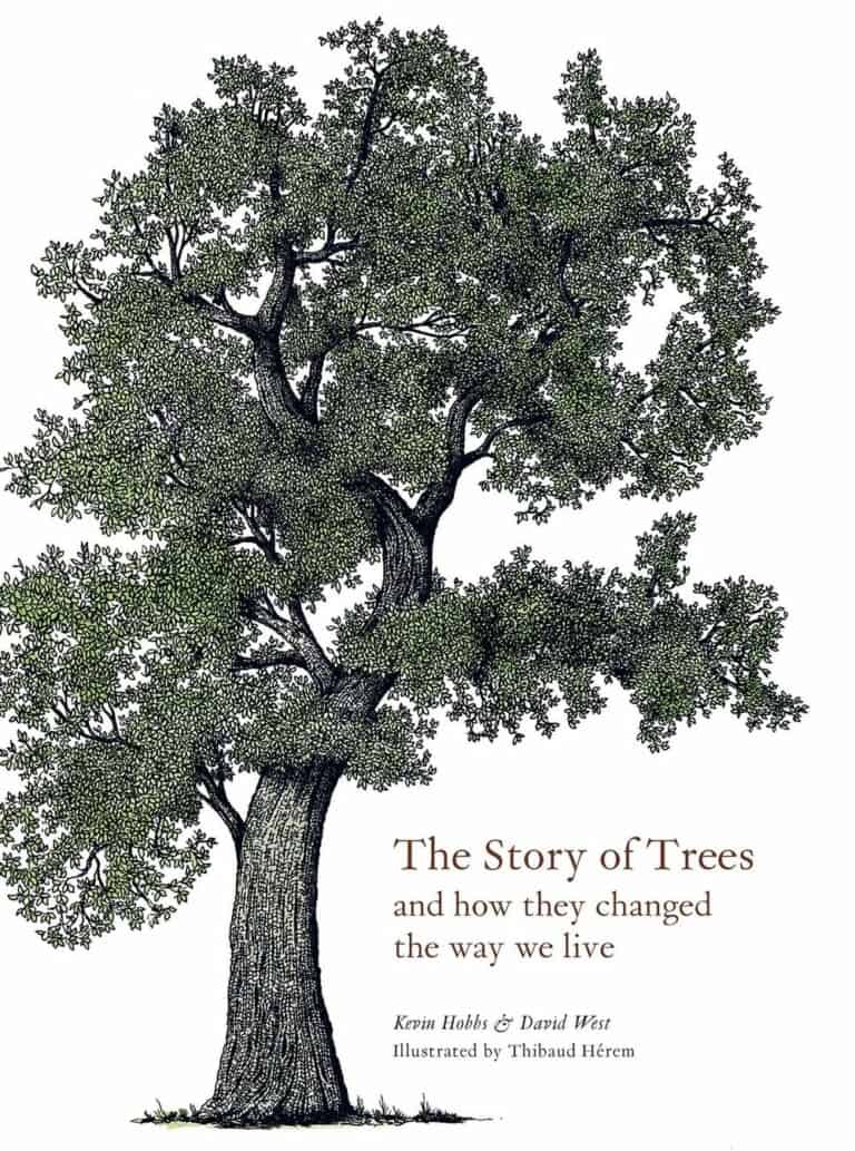 The story of trees