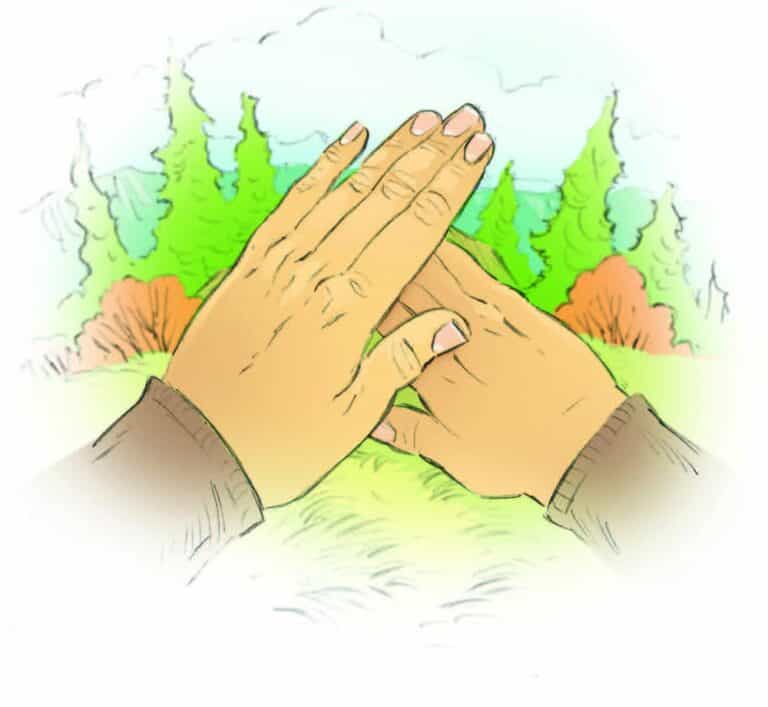 A Home in the Woods — Part 4