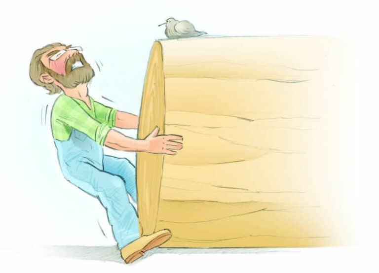 A Home in the Woods — Part 3