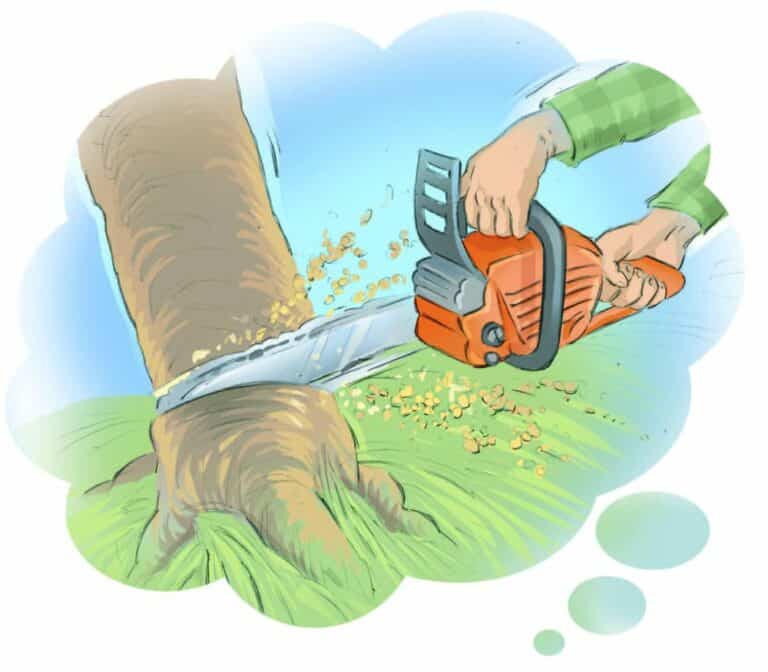 a small shop addition