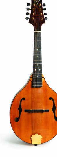 Mandolin