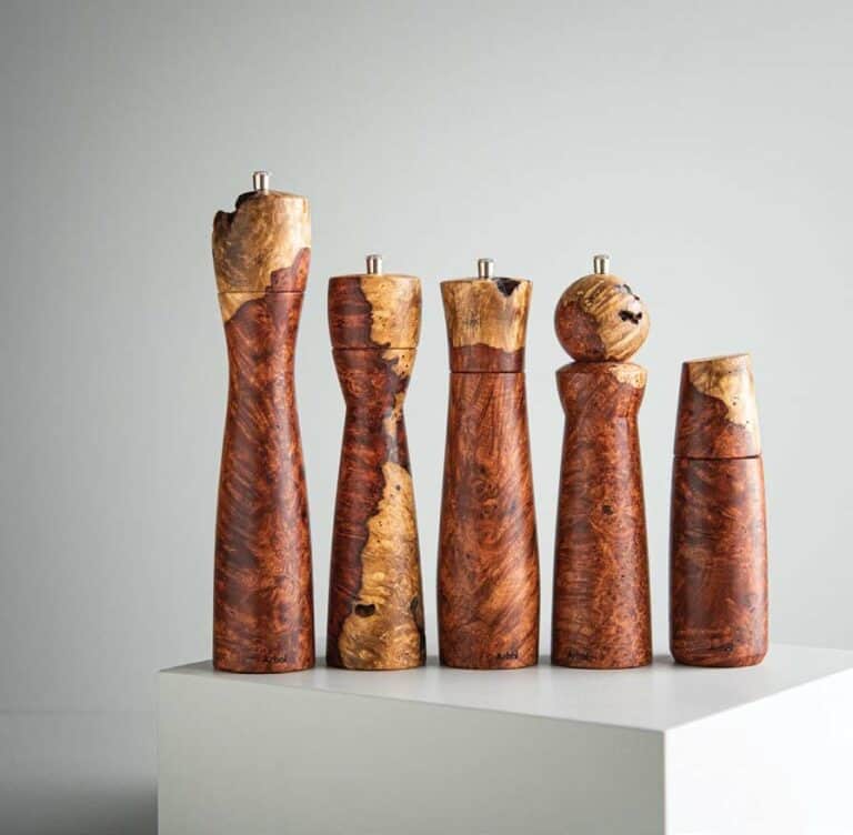 Stéphane Dumont – video profile