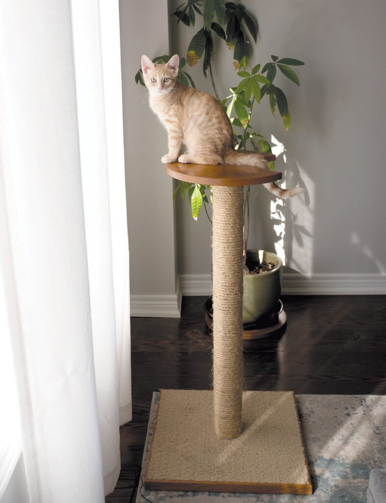 Make a cat post Canadian Woodworking