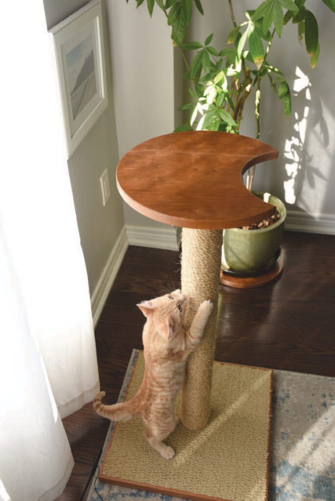 Make a cat post Canadian Woodworking