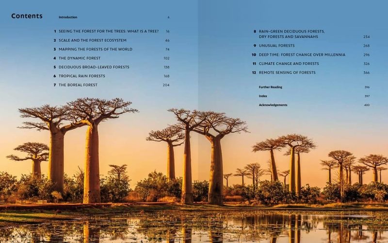 The world atlas of trees and forests