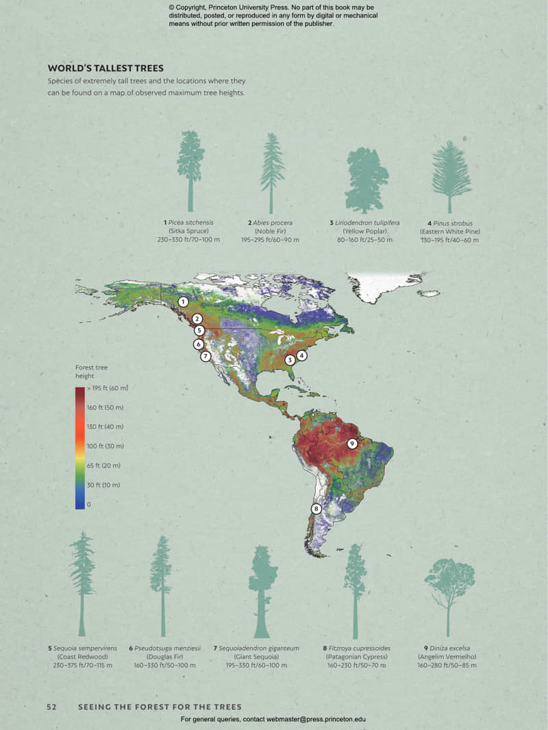 The world atlas of trees and forests