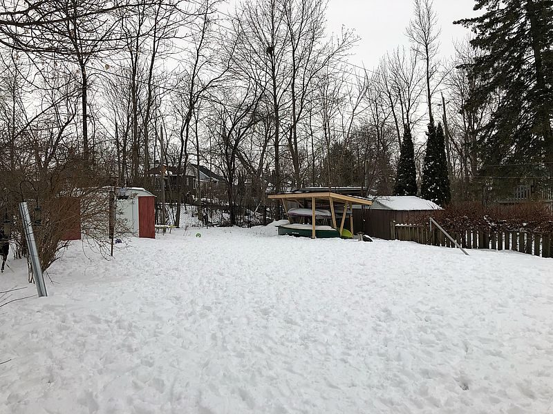 Rob's backyard