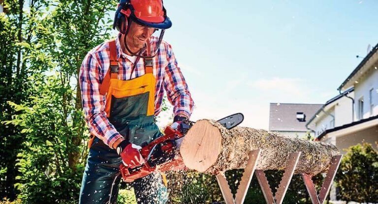 Einhell cordless chainsaw