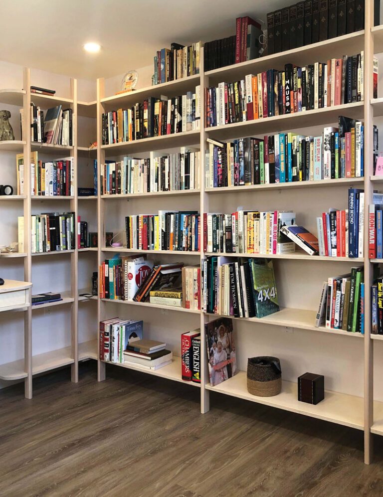 Contemporary bookcase