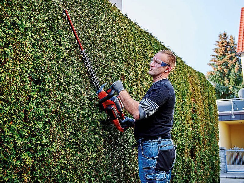 >Tame your hedges and shrubs