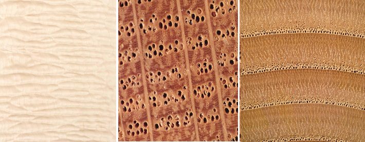 The Difference: pores and grain