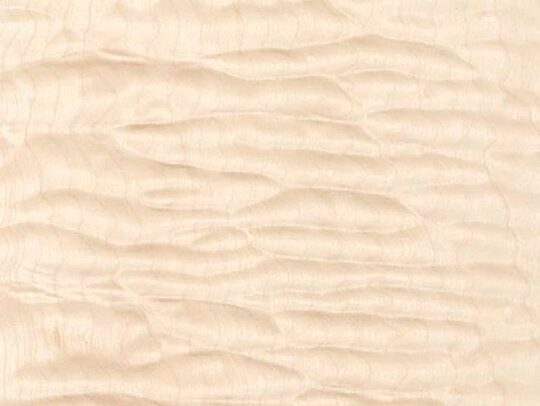 Grain in Quilted Maple