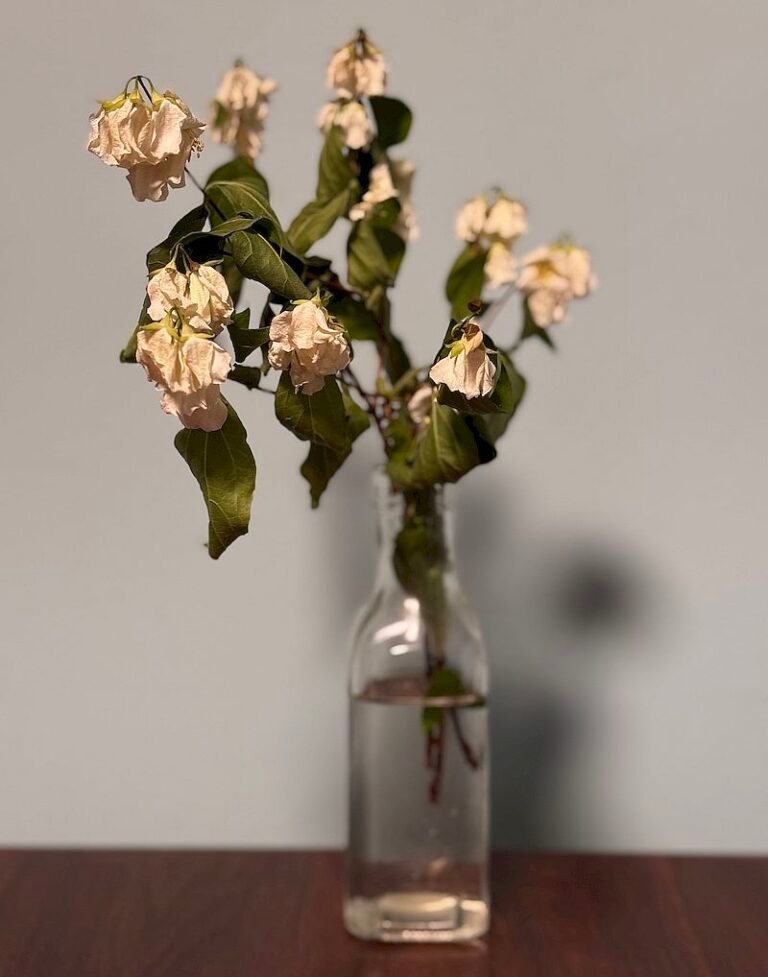 Growing More Beautiful