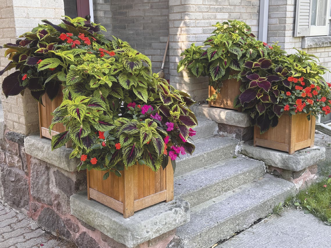 Planter Boxes