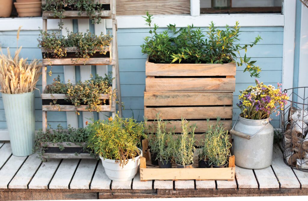 Backyard garden